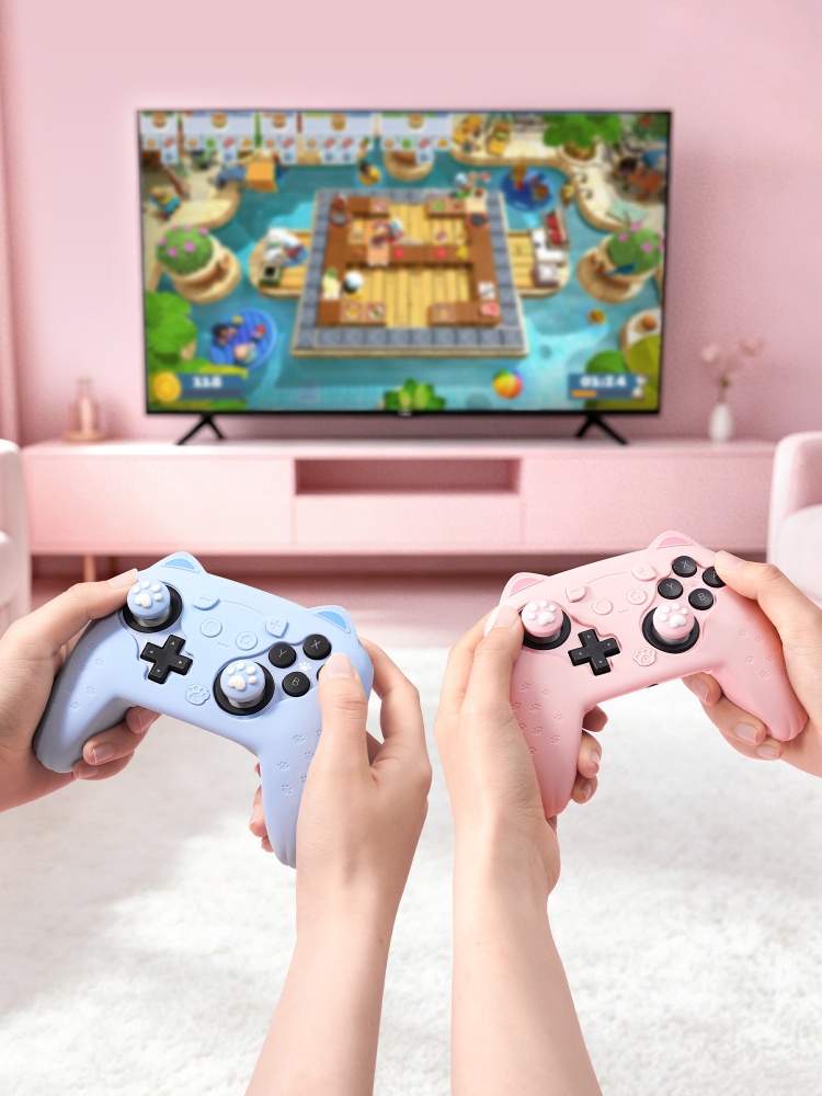 Оригинальный силиконовый защит – обзор и цена Gaming Accessories In Japan